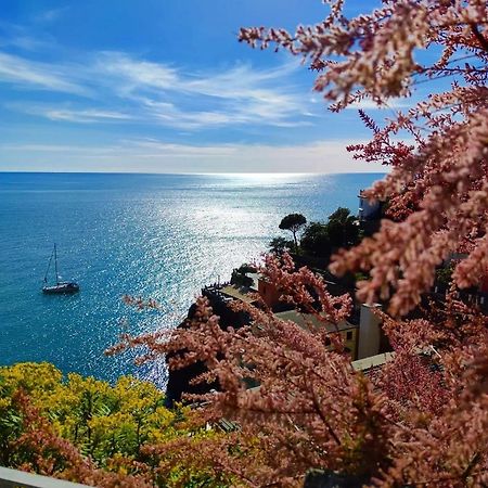 Maison Exotique - Riomaggiore / Cinque Terre / Beach Travel エクステリア 写真
