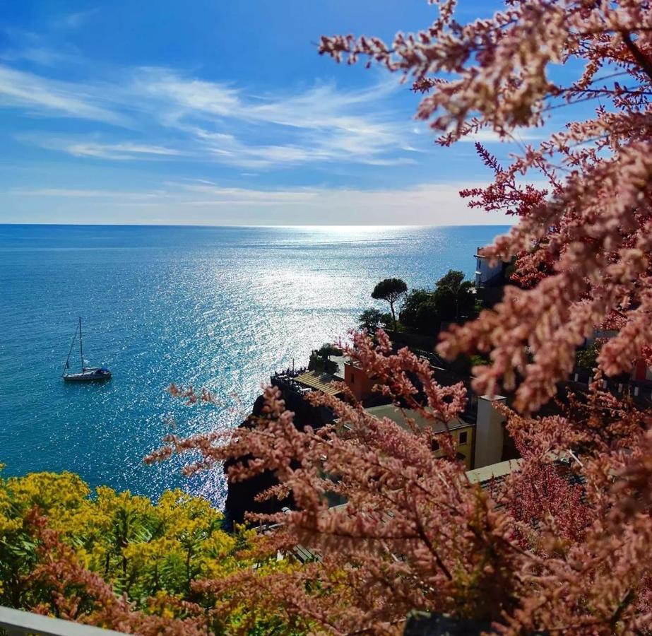 Maison Exotique - Riomaggiore / Cinque Terre / Beach Travel エクステリア 写真